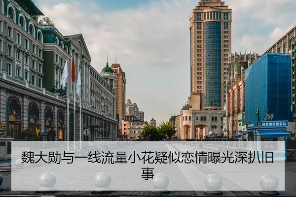 魏大勋与一线流量小花疑似恋情曝光深扒旧事