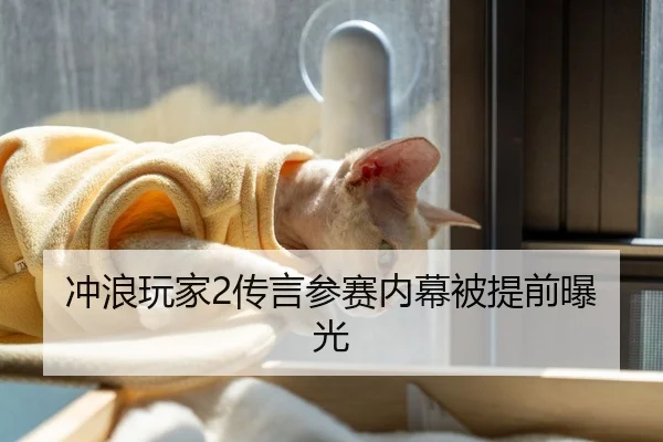 冲浪玩家2传言参赛内幕被提前曝光