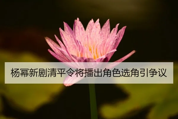yang-mi-xin-ju-qing-ping-ling-jiang-bo-chu-jue-se-xuan-jiao-yin-zheng-yi-2-778.jpg